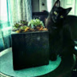 Meet your Posher, Lori